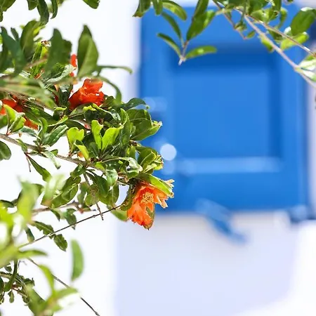 Mykonos In White וילה