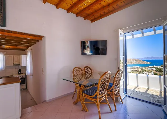 Mykonos In White Villa Mykonos Town