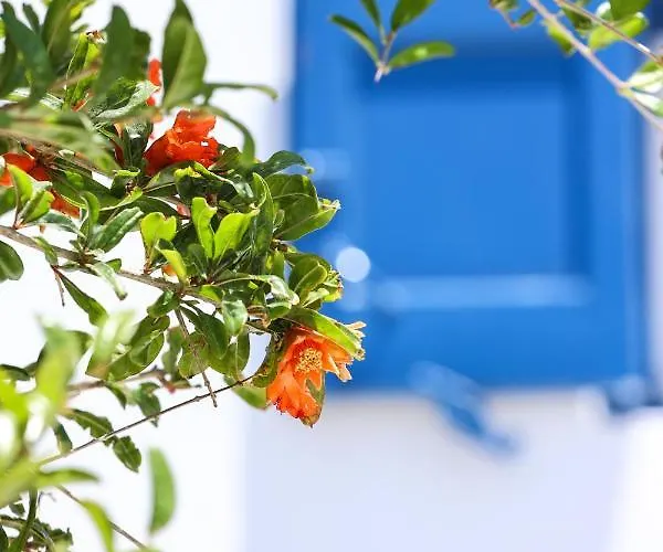 Mykonos In White Villa